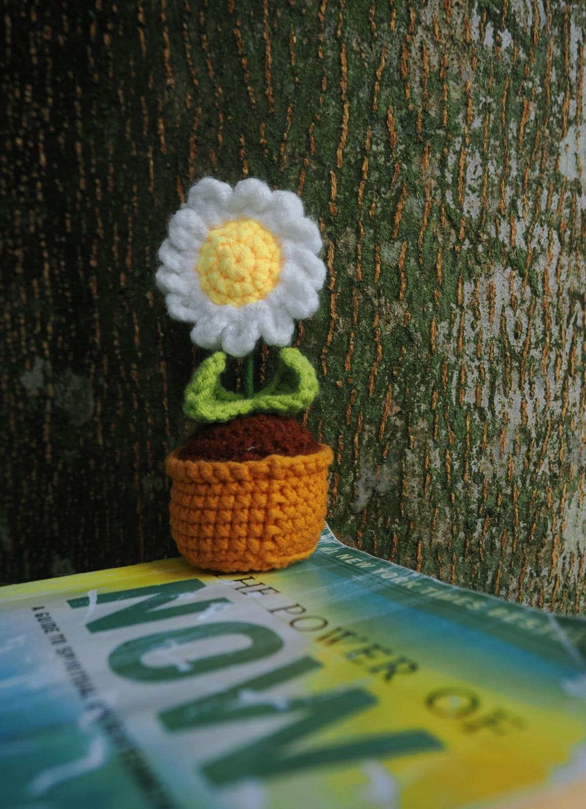 A crochet daisy in a small crochet flowerpot against a tree trunk
